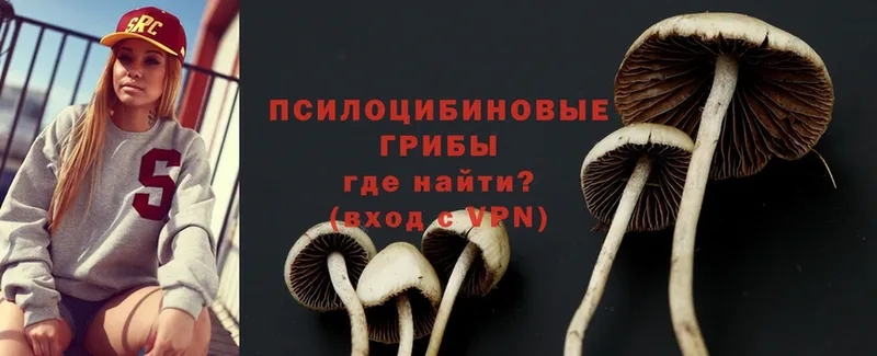 shop состав  Серов  Псилоцибиновые грибы Psilocybine cubensis 